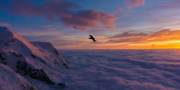 Outlook 2026: spectacular spending, unspectacular growth. Emerging markets and gold in focus