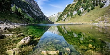 What do the EU’s SFDR 2.0 proposals mean for sustainable investing?