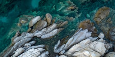 The Intelligent Allocator: Geopolitical fear travels faster than capital