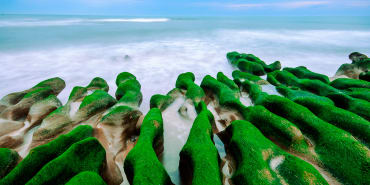 Positions en actions « net-zéro » : la résilience pendant la crise et la robustesse pendant la transition