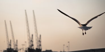 US-Iran accord frees up Hormuz shipping