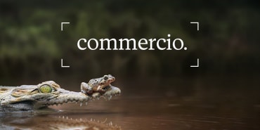 Il commercio cambia volto, ma non i volumi: quando la resilienza prevale sull’efficienza