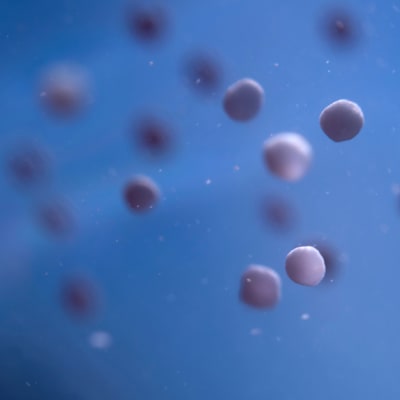 Private equity: investing in a sustainable alternative to microplastics