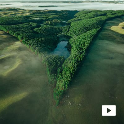 The rapid rise of nature-based investments