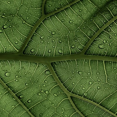 Comment générer de la performance dans un monde en mutation