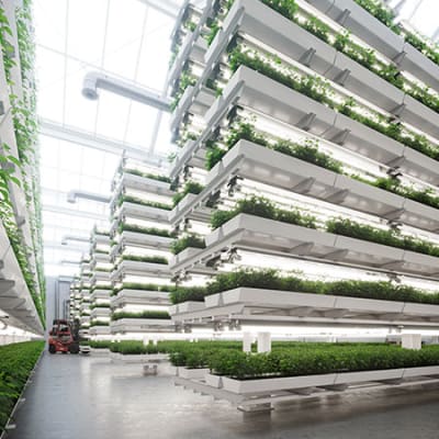 Can technology be sustainability’s white knightKann die Technologie der weisse Ritter der Nachhaltigkeit sein?