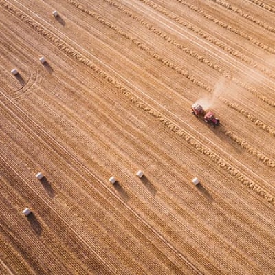 Ernährungsunsicherheit aufgrund des Ukrainekriegs dürfte zu mehr Volatilität führen