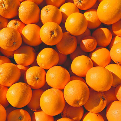 Un projet d'alimentation soutenable remporte notre FBN Next Generation Lombard Odier Award 2021