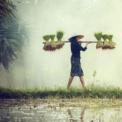 Lombard Odier survey shows Asia’s young HNWI and UHNWI ready to Gear their portfolios for Impact