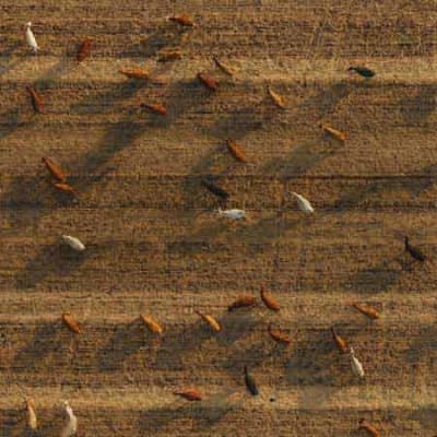 Repenser les risques liés à la crise climatique
