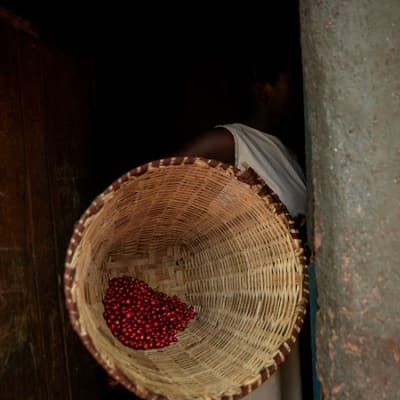 La production de café durable avec Nespresso : le respect des communautés, du climat et des principes de circularité