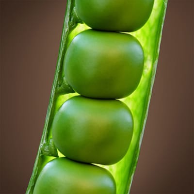 Welche Rolle spielen Anlegerinnen und Anleger bei der Innovationsfinanzierung für den Übergang zu einer nachhaltigen Zukunft? 