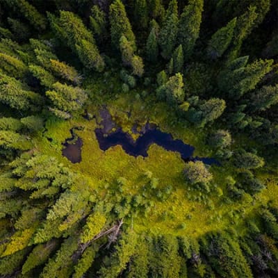 Die fünf wichtigsten Gründe, weshalb wir jetzt in unsere Wälder investieren müssen