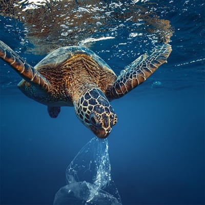 10 façons de repenser le plastique grâce à la technologie