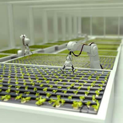 Le Japon, ou comment utiliser le numérique pour une agriculture plus soutenable