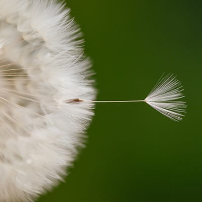 Modell mit Zukunft: 10 Wege zur Kreislaufwirtschaft