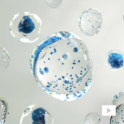 Green hydrogen: government lays down challenge for French industry