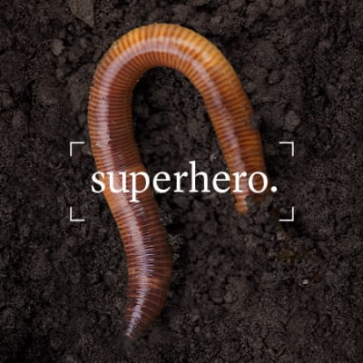 Le sol :  super-héros oublié de l’alimentation