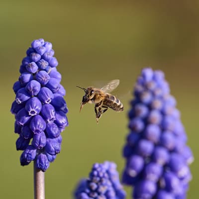 Klimawoche in New York wertet die Natur auf – die am stärksten unterbewertete Anlageklasse