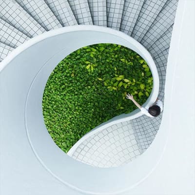 Wie integrieren wir Nachhaltigkeit in die Portfolios?