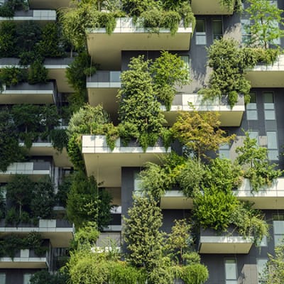 Becoming a B Corporation