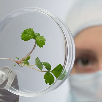 Lombard Odier sponsors leading UK life sciences forum