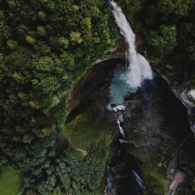 Investir dans la nature : transformer les industries plutôt que d’échanger des crédits
