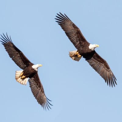 US real rates are rising: how could they impact 2025 market returns?