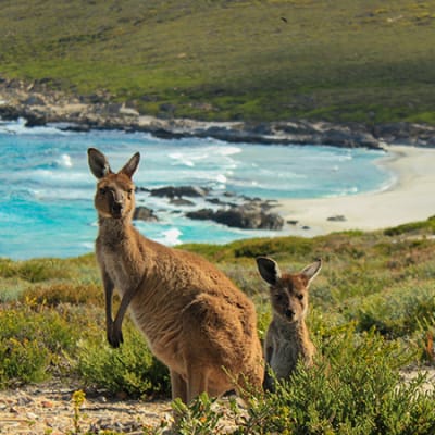 Australian finance industry pushes for clear sustainability agenda