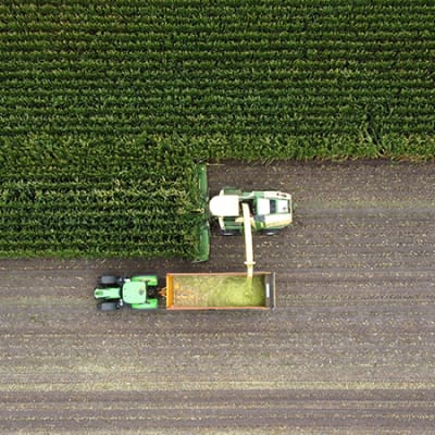 How Asia can address its looming food crisis