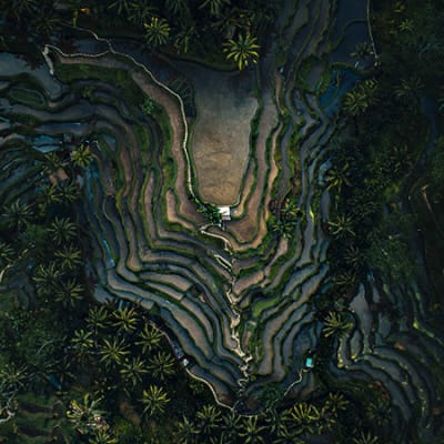 The Sustainability Revolution is here in Asia
