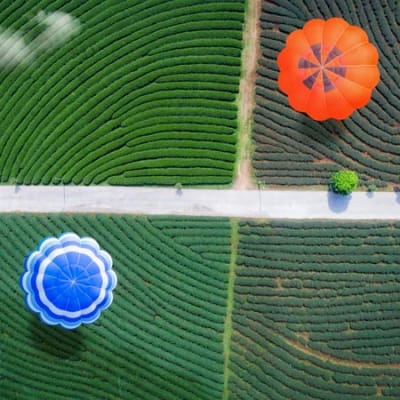 How to foster disinflation without a recession