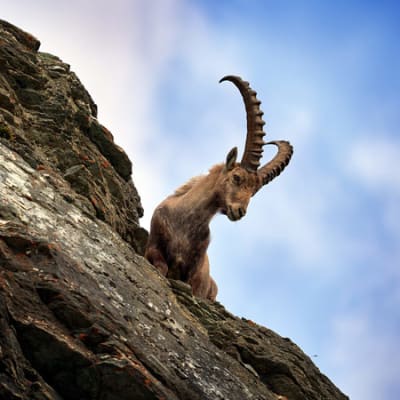 Why you should rebalance your Swiss cash exposure