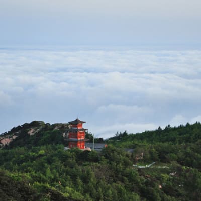 The ascent of China’s national Emissions Trading Scheme