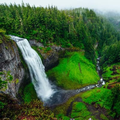 The TNFD: bringing nature onto the balance sheet 