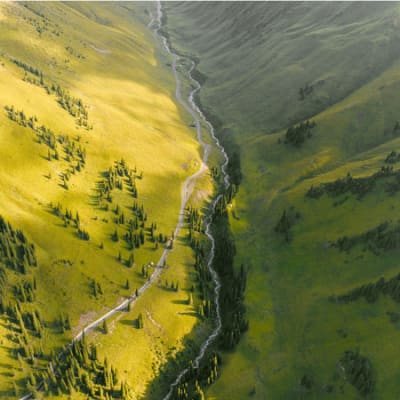 The TNFD: a framework for nature-positive investing