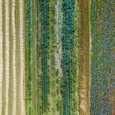 A new form of regenerative agriculture 