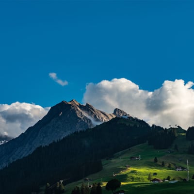 Swiss Climate Scores 