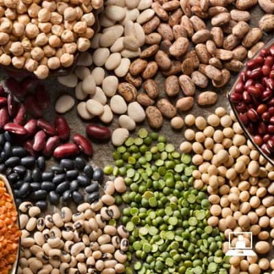 Green Series Webinar: New Food Systems