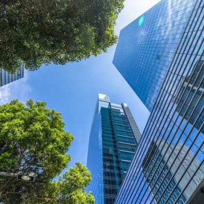 Investing in quality credit for net zero