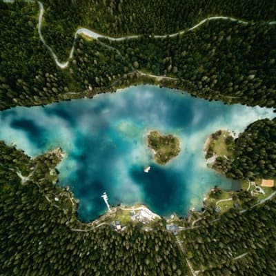 Carbon credits: reinforcing quality for impact and returns