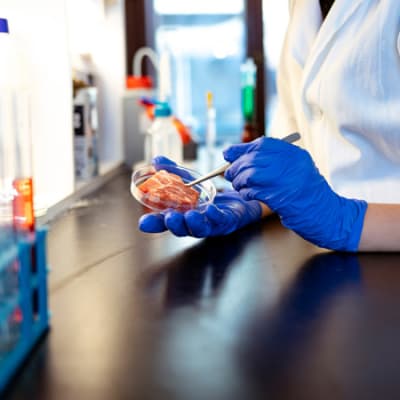 New food systems: precision fermentation and cultivated meat
