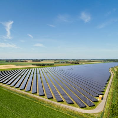 Carbon markets advance despite mixed COP27 results