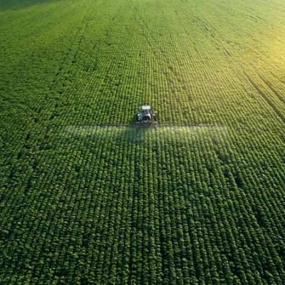 Wie sieht eine Landwirtschaft im Einklang mit der Natur aus? 