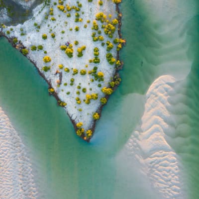 Investing in the currency of decarbonisation