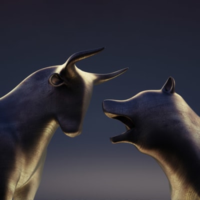 Is it really a bear market rally?