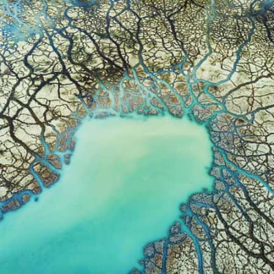 Climate risk and opportunity by sector and geography