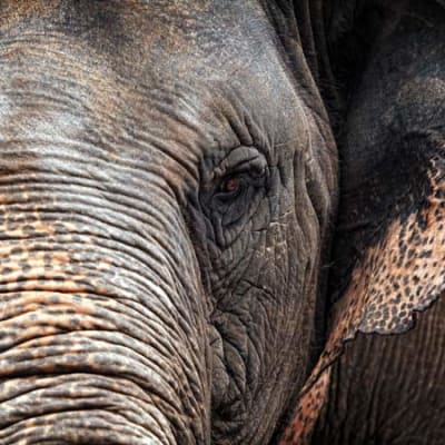 Green bonds, decarbonisation wins and food chain innovations: key sustainability news