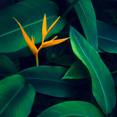 LOIM’s stewardship in 2021: seeking progress on climate and nature