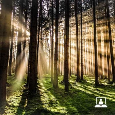 Webinar | Investment Implications of a Greening World